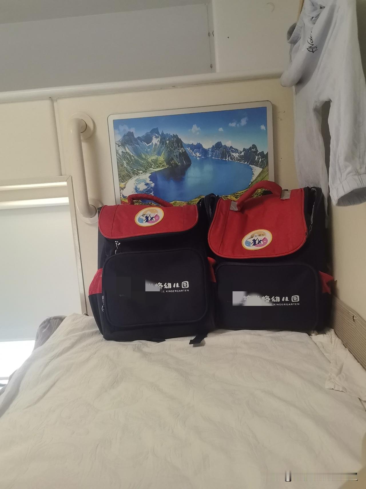 今天在家洗了一天。

上午清理好从曲靖避暑带回来的衣服，分浅色深色，脏的和不脏的