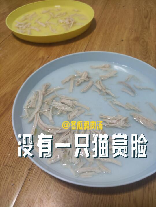 求救:你们冬瓜鸡肉汤怎么做的？我家猫不吃