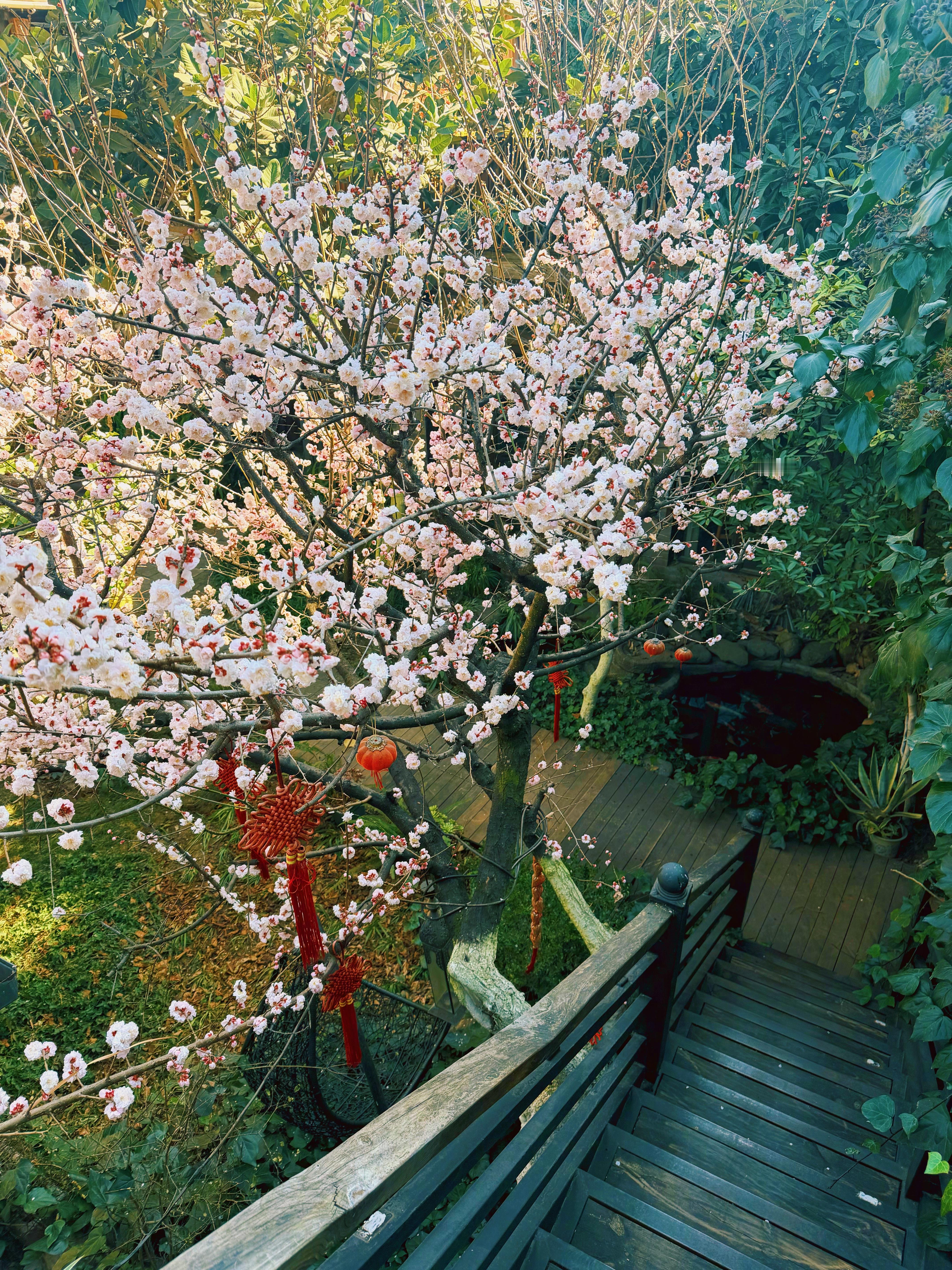 如果今天能得到那么一点点更新了自己认知的体会，今天就是很特别的一天，很精彩的一天