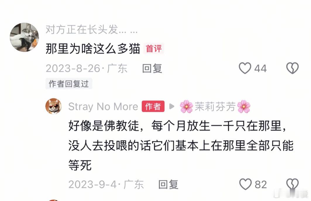 水库边放生猫咪为何一再发生没记错的话大部分小猫其实应该是怕水的吧[衰]感觉这群人