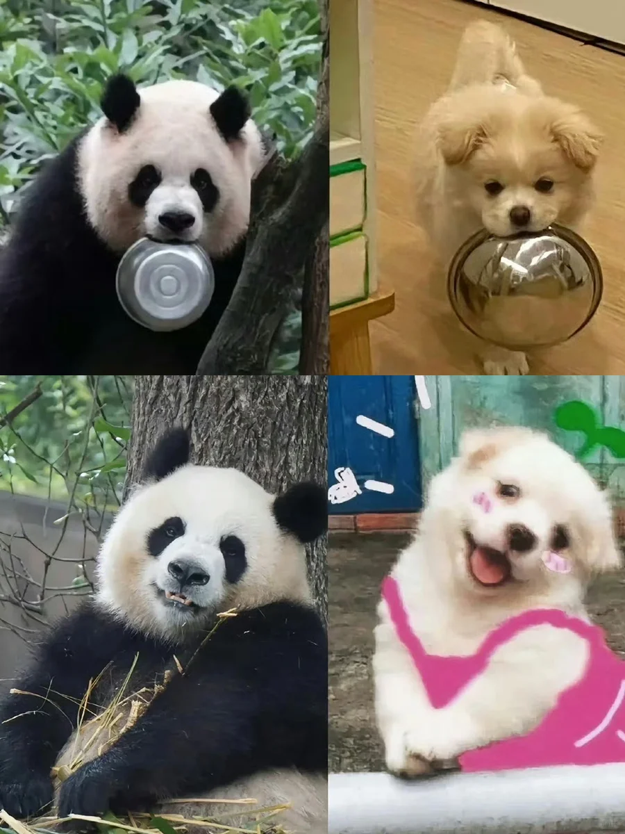 不能说像，只能说一模一样，润小狗实锤了