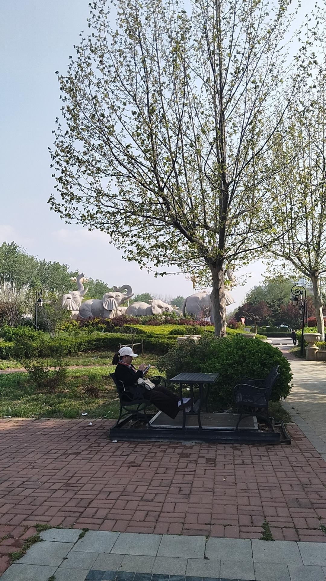 分享一张你相册里的夕阳照在夕阳西下时，坐在树荫花丛中，与老伴相亲相爱度过余生，是