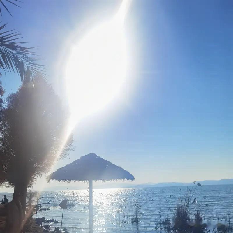 人为什么会穷？

有一点影响很大的就是只谈感受，不管事实！

如果你认真的回想一