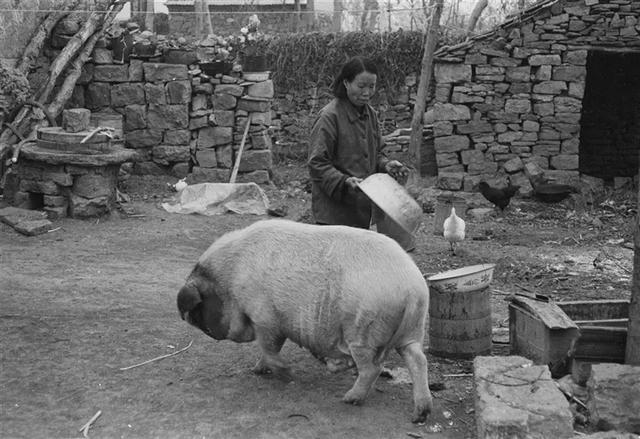 八十年代的中国农村生活，摄影:李百军

李百军1955年4月25日生于山东沂水，