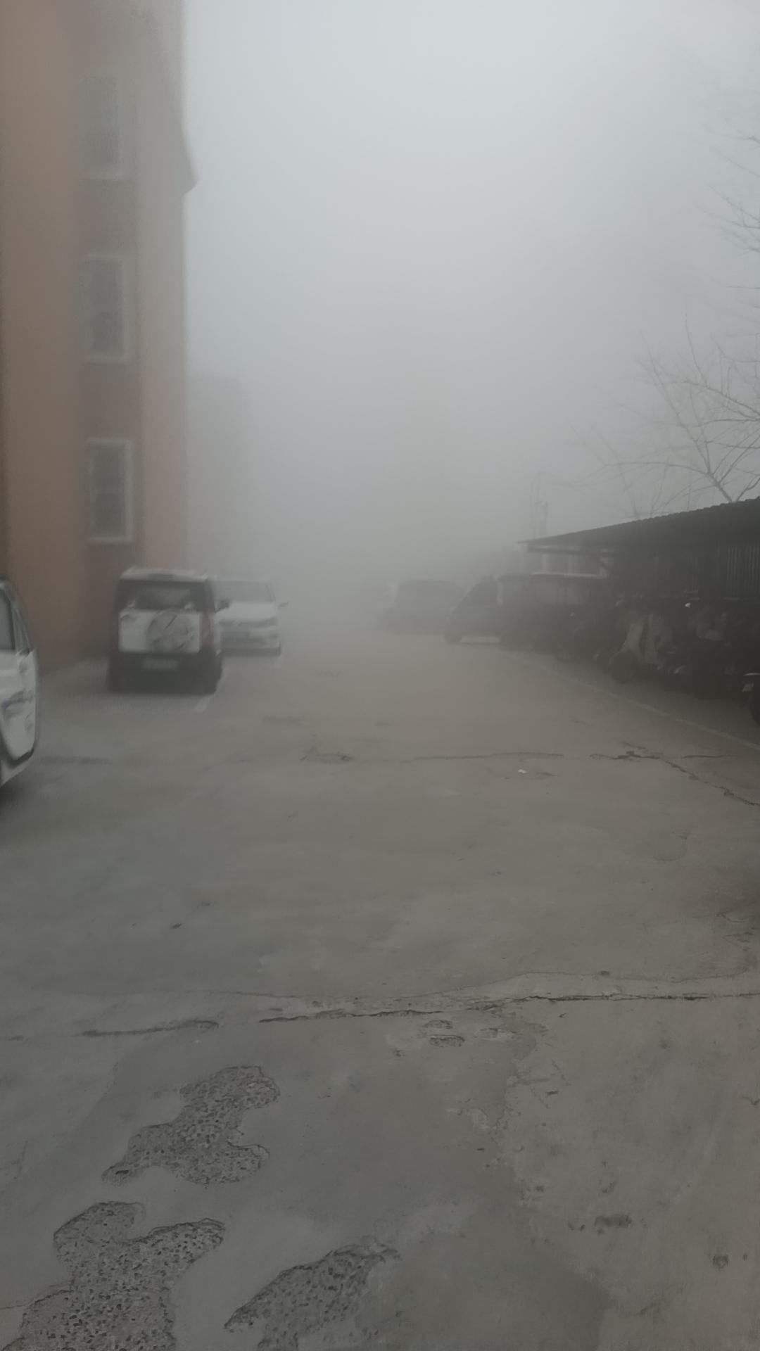 内裤与袜子能否同洗，这事儿不能一概而论。要是你身体健康，没脚气、股癣、妇科炎症这