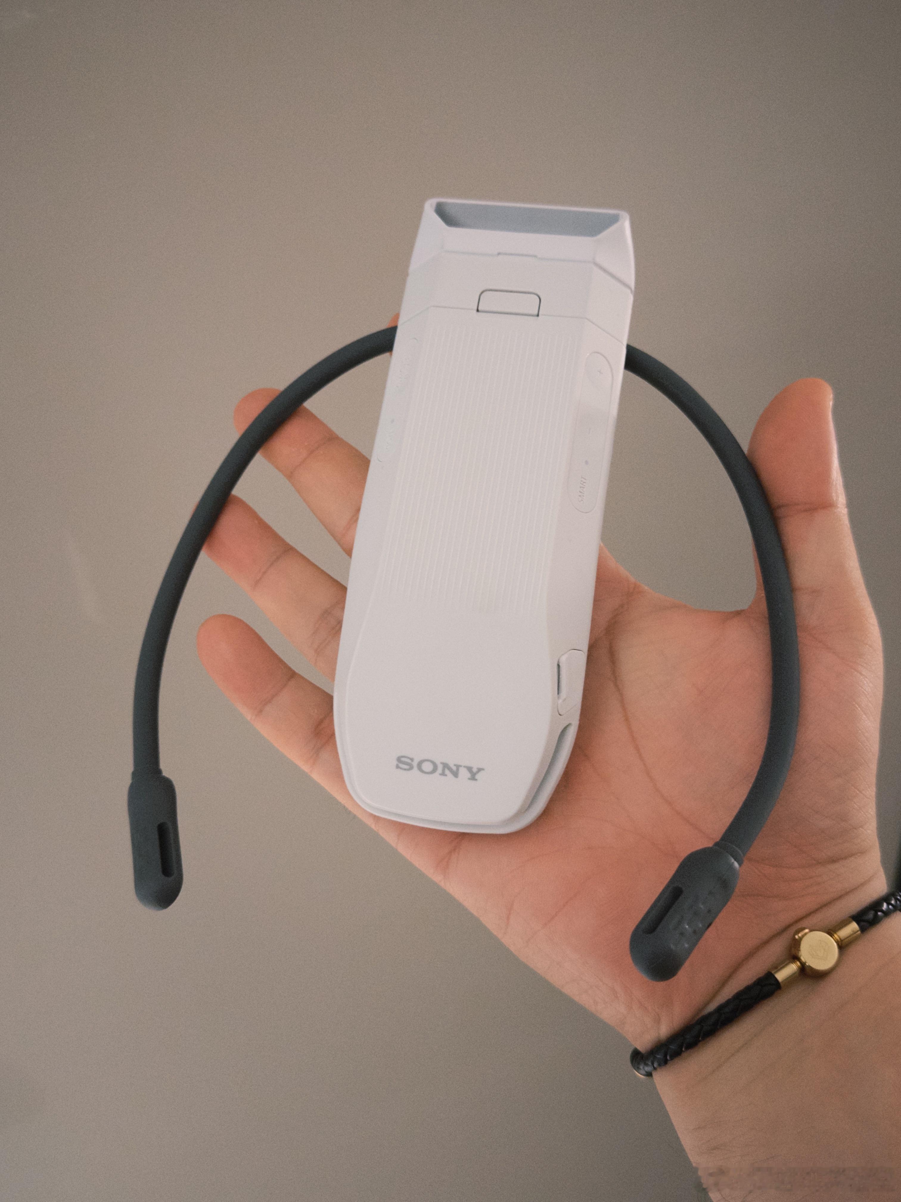 今年夏天 Sony Peon Pocket Pro 真的是救我狗命，太好了这玩意