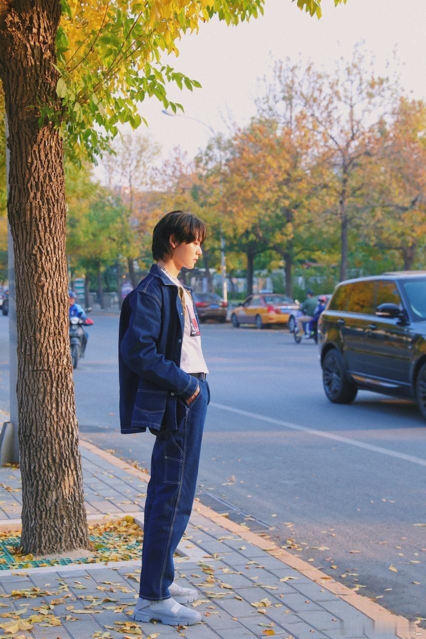 🍂在这个落叶像雪的季节.