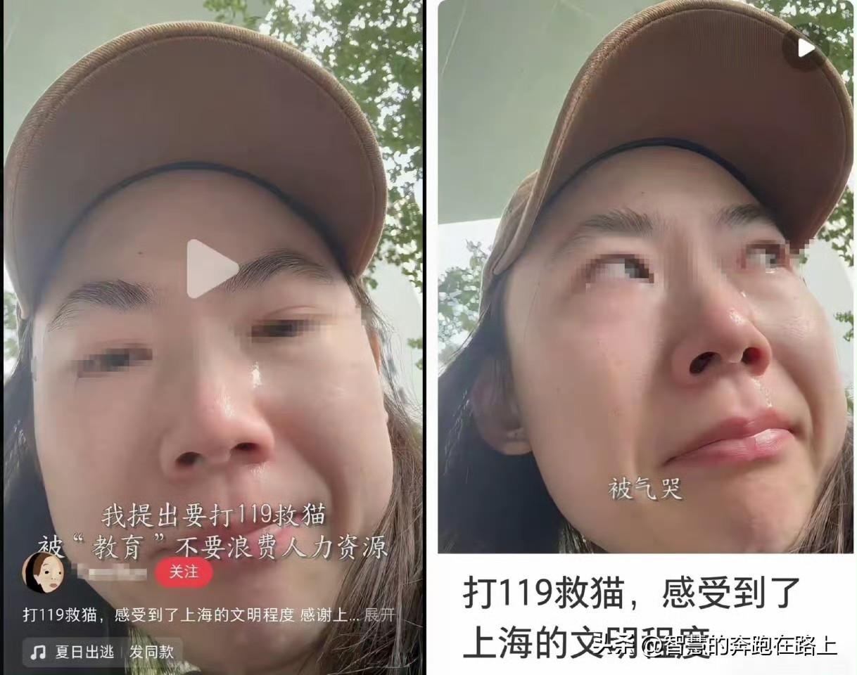 第一次听说打119救流浪猫的，你这么有爱心干嘛不自己花钱找人救出来，就不要浪费公
