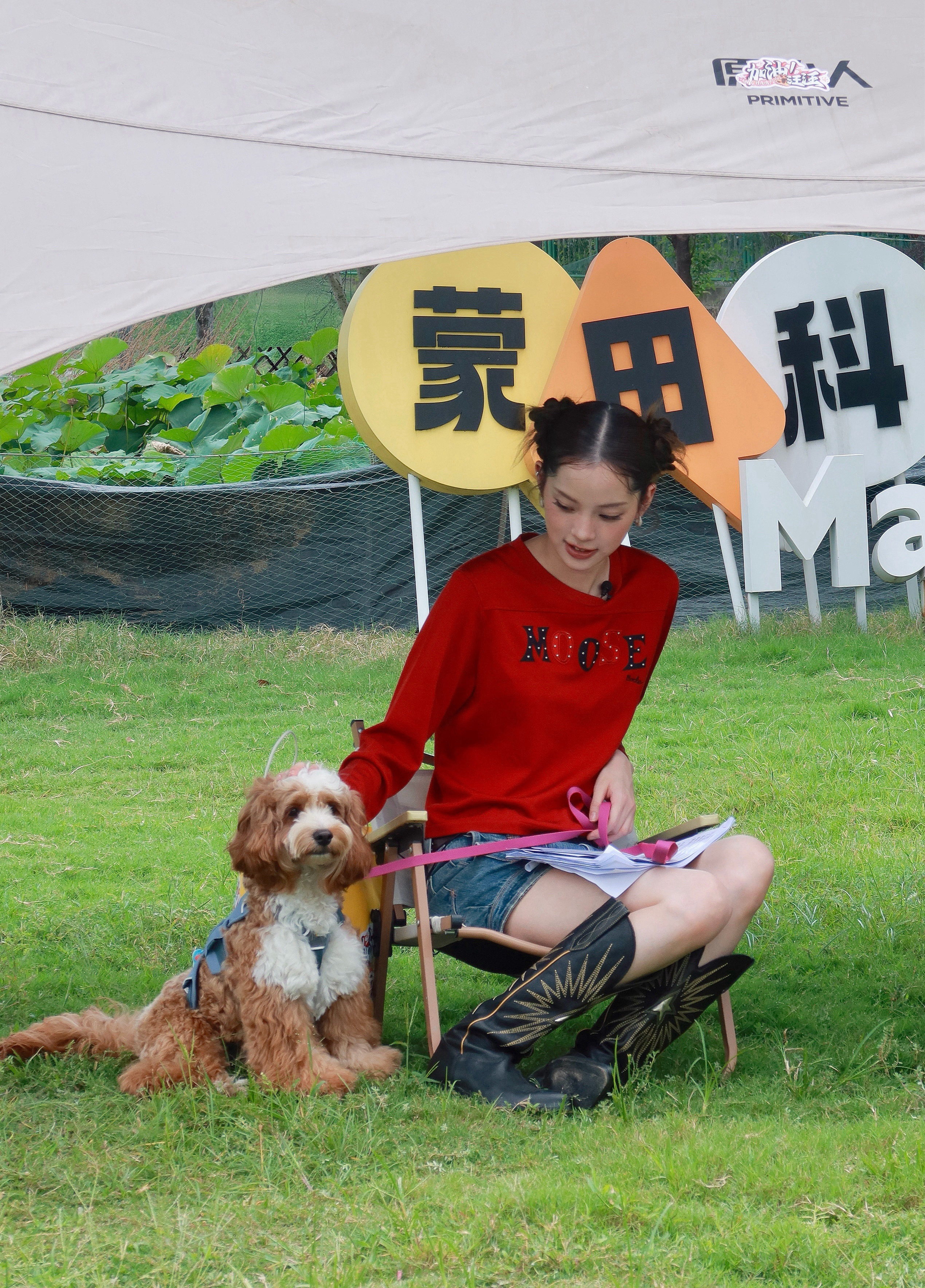 欧阳娜娜时尚单品是自家狗狗欧阳娜娜带自家狗参加新综艺欧阳娜娜这波穿搭太有意义！录