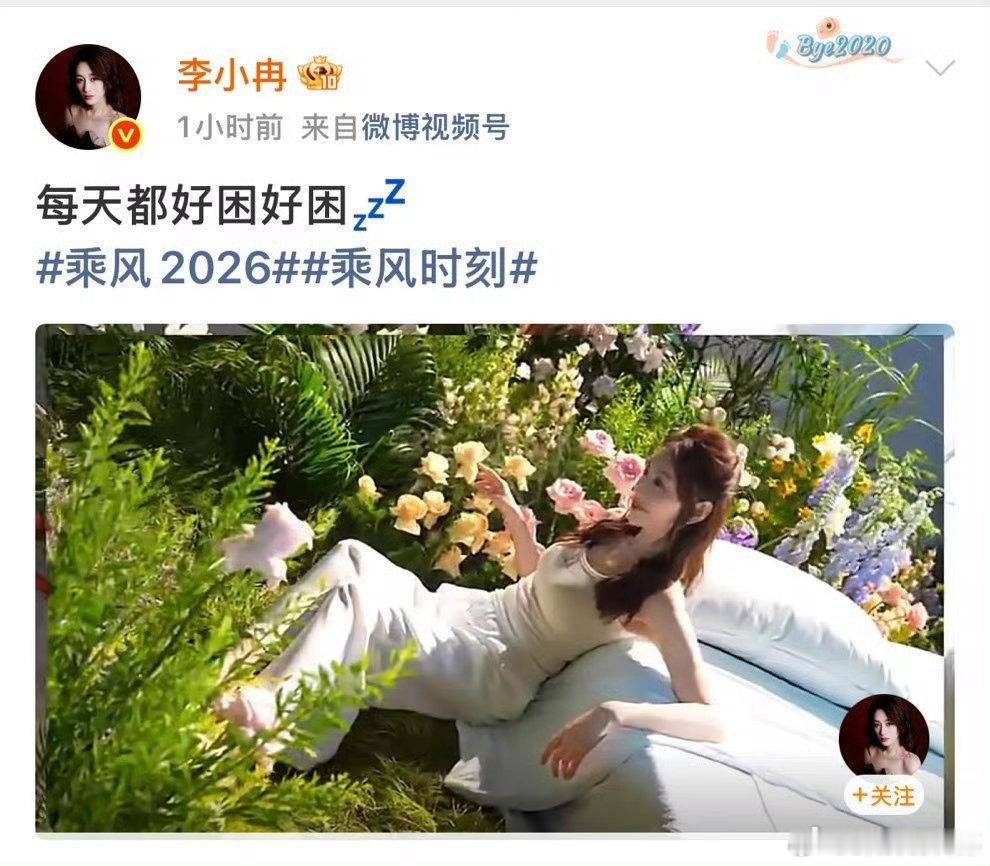 李小冉为地震参与搜救的小狗点赞 从训练场上到地震救灾前线，搜救小狗全程坚守使命，