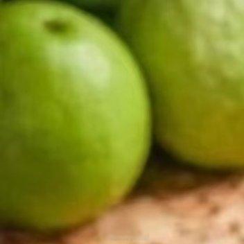 每日一善[超话]阳光信用 [太阳]‎每日一善 种种番石榴：1．选苗：选择粗壮、底