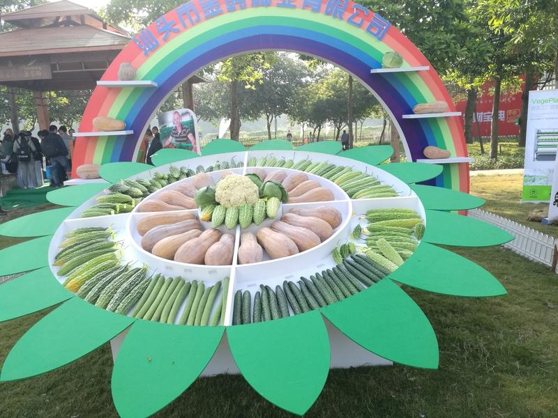 ‌农业农村部于2025年12月登记推出特色农作物新品种1048个‌，其中国内自主