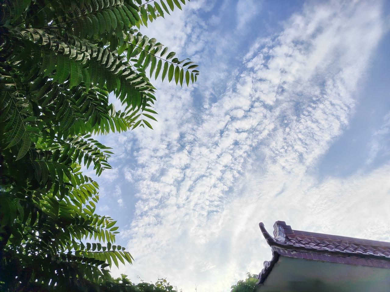 你手机里哪张夏日照片最美愿你在每一个蝉鸣悠长的午后，都能听见内心的声音，在平凡日
