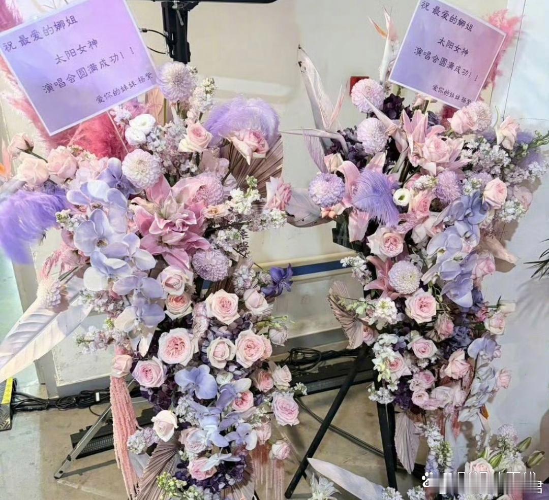 肖战送谢娜演唱会花篮肖战、刘宇宁、杨紫、宋雨琦、时代少年团、快乐家族等都给谢娜成