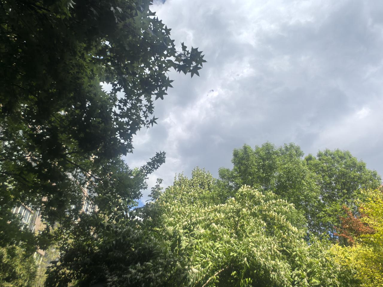 根据2025年河南漯河地区的实际数据，在山东河南中原地区租一亩地种一季小麦和一季