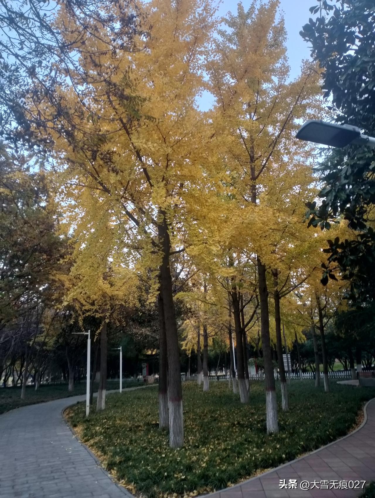 成年人的快乐，真的很简单：
1、睡到自然醒，没有闹钟的早晨，听得见鸡鸣狗叫。
2