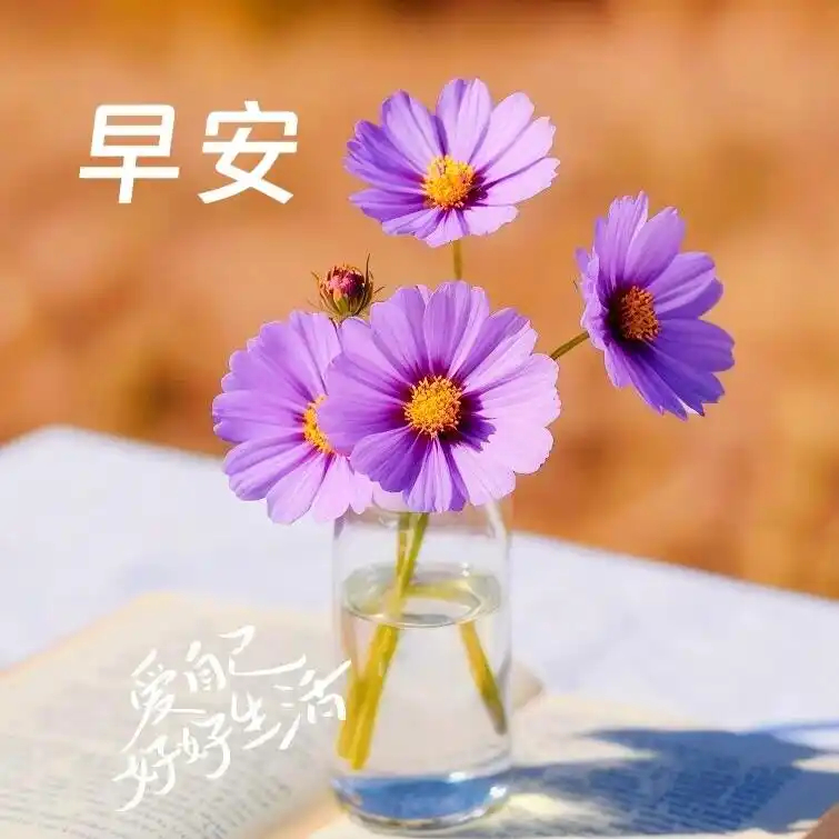忙而不慌，惦念送上，岁月留香，暖意悠长，真心问候，情满心房，心随所愿，福气送上，