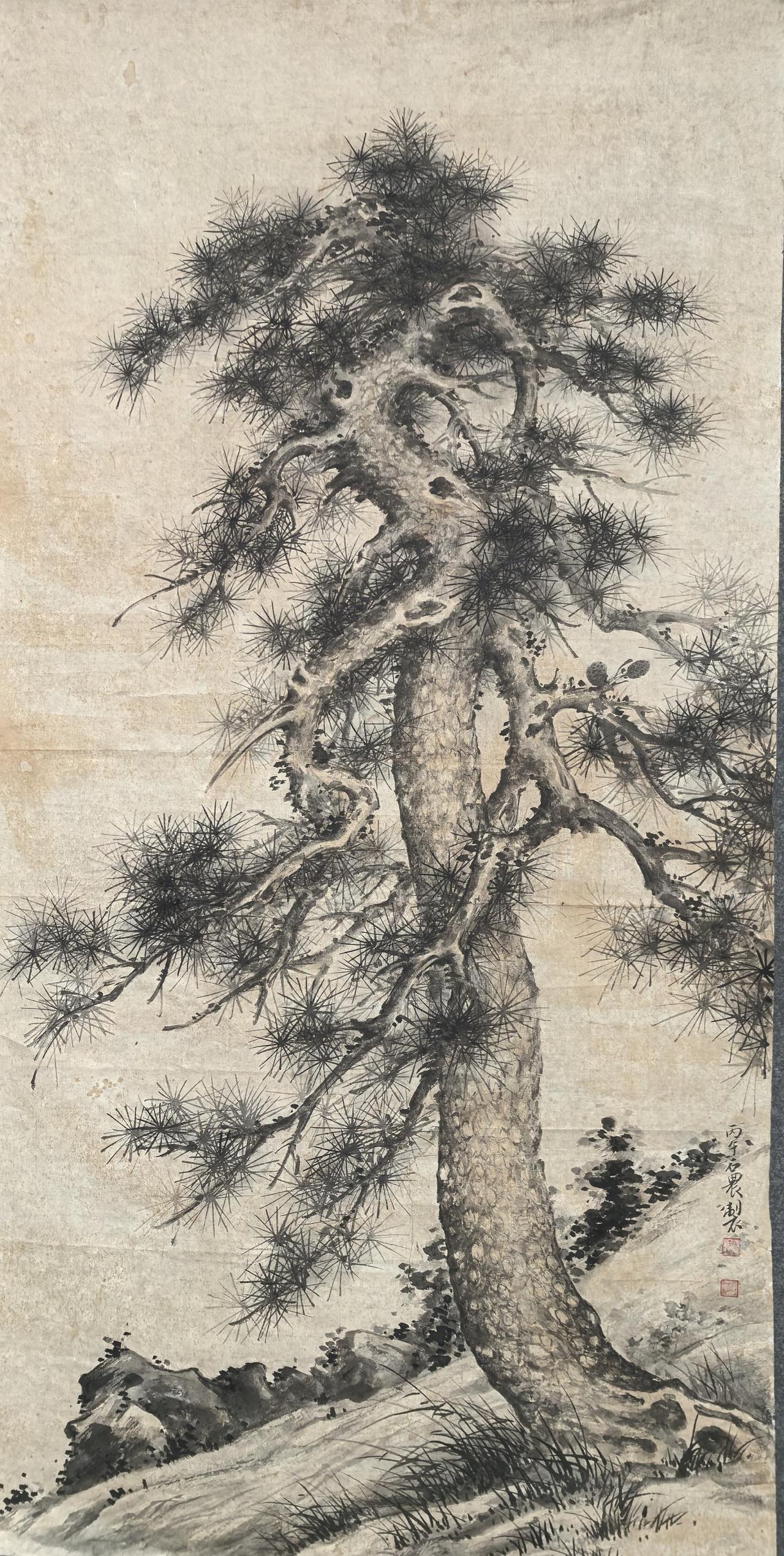 铁划银钩，苍劲如盘龙—林榕画松欣赏
林榕老师画松尤擅虬曲盘绕之松，松针线条刚劲如