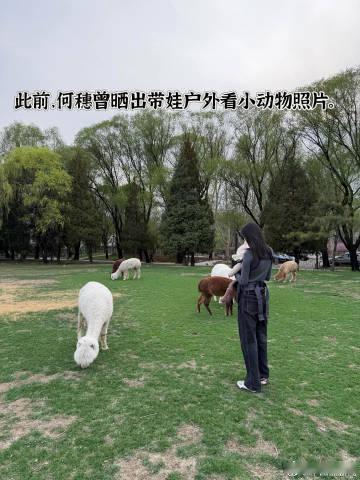 何穗做了面部提升针灸最近，时尚圈 “大瓜” 不断，超模何穗做面部提升针灸的消息在