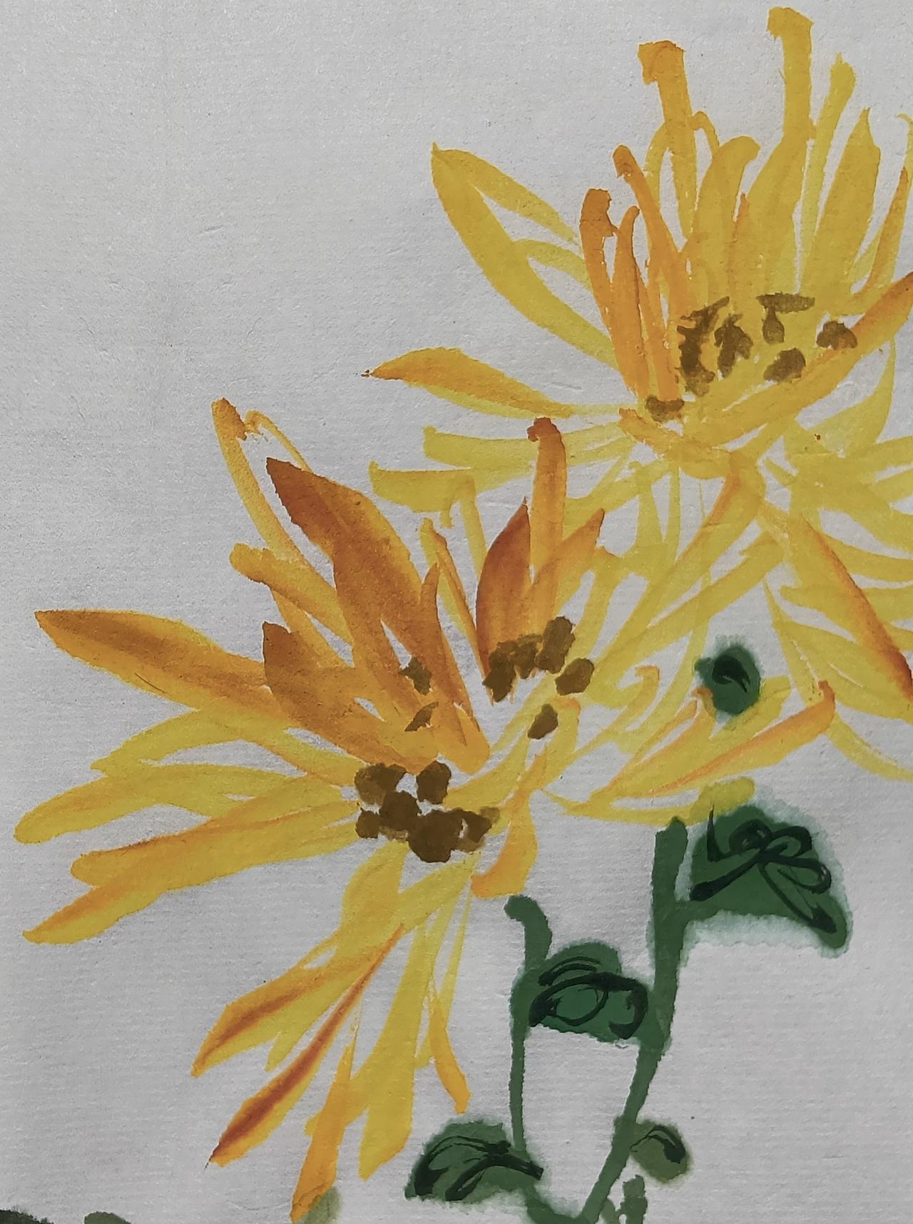 小写意菊花