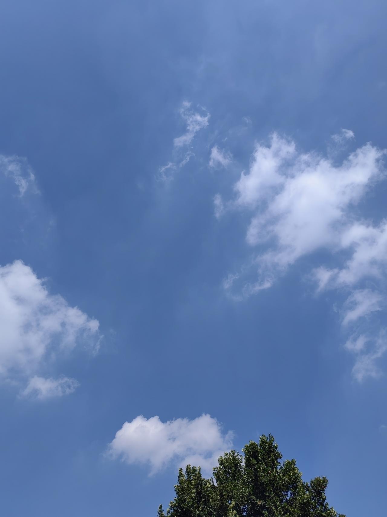 若当年考上江汉大学，然后2019年死了，今年妈妈应该也走出来了……

就不会继续