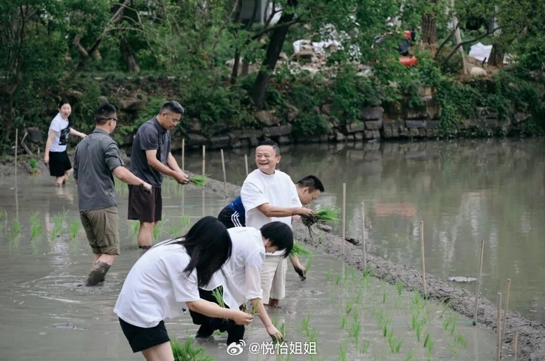 大佬的尽头🌾 
