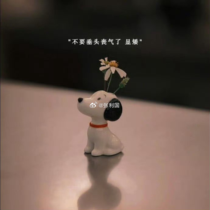 特别累的时候就装死，这招特别好用，真的。手机静音，看见也不理，平躺在床上睡觉，睡