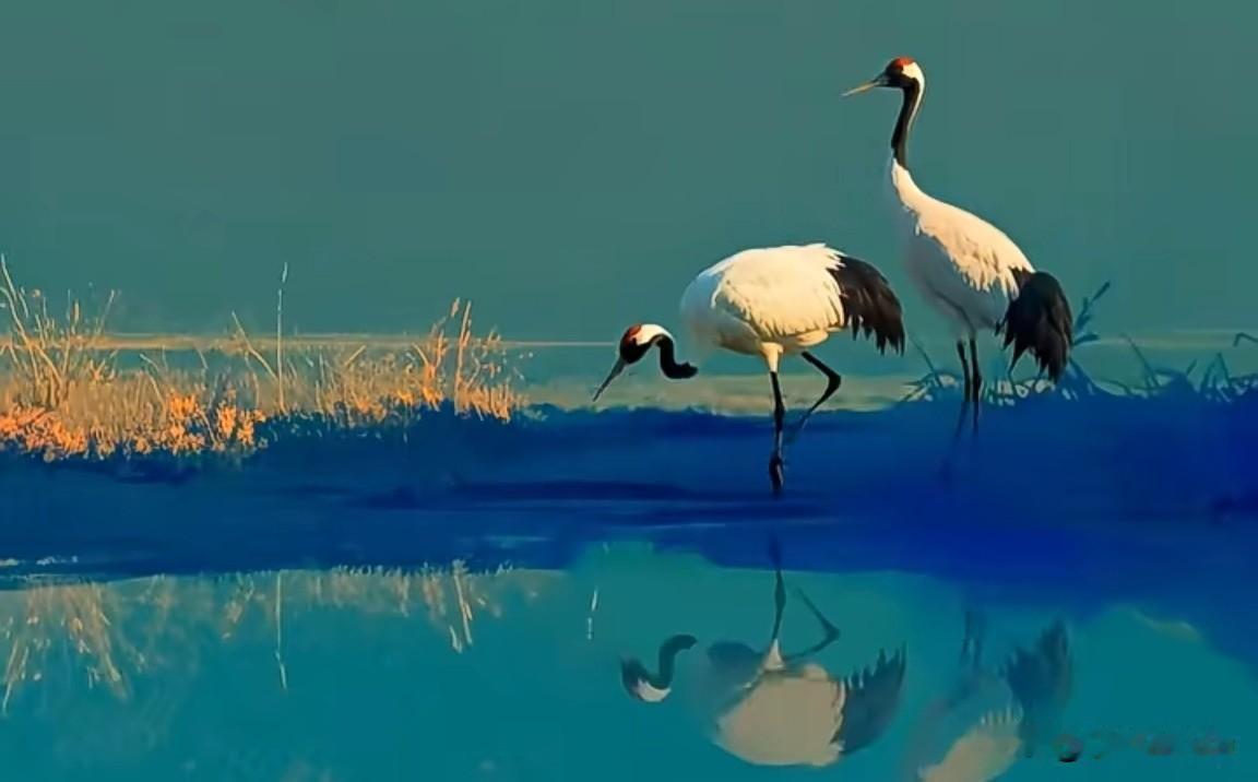 悲喜自愈，心自辽阔
 
人这一生，本就是一场悲喜交织的修行。我们总在跌跌撞撞中成