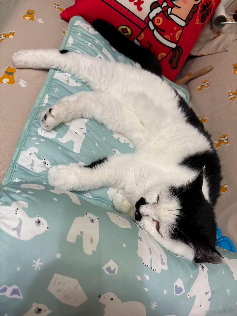 晚安💤 