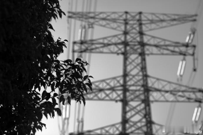 张凌赫镜头下的瞬间  张凌赫镜头下的瞬间真的是帅到我了呀，get到了他的镜头美学