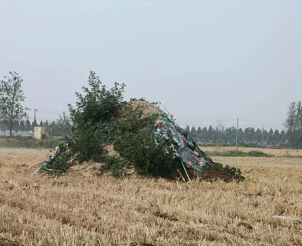 一名在义乌死的巴勒斯坦老人因为无法运回国，其家属要求在义乌土葬。
这个要求就有点