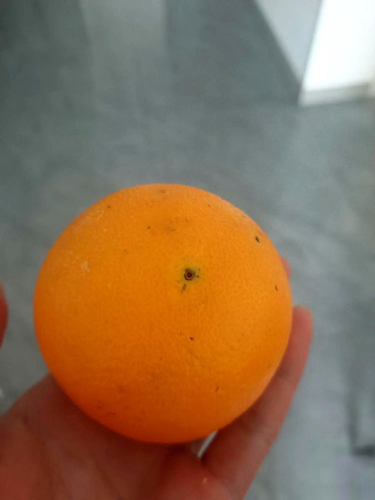 太意外！
甲流折腾半月，竟被土办法治好
这人跟甲流硬碰硬折腾了小半个月，输液吃药