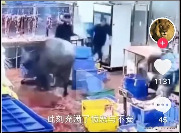 屠夫杀牛反被牛杀，它为了保护自己，心中的愤怒愤涌而出，要把这里有很浓血腥味的地方