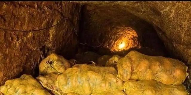 1994年，山西一农户在家里挖地道，本意是想存储点过冬的食物，结果无意发现了一条