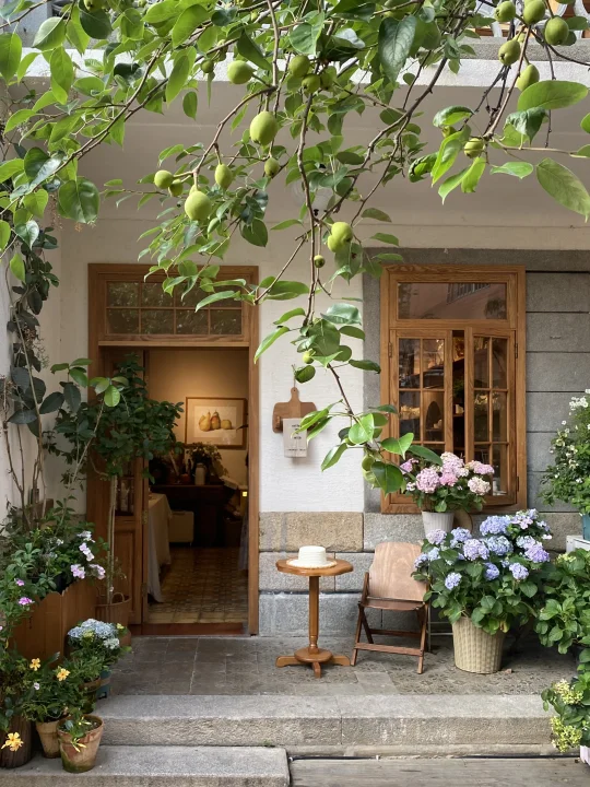 是永远不会放弃再去厦门这条路的....