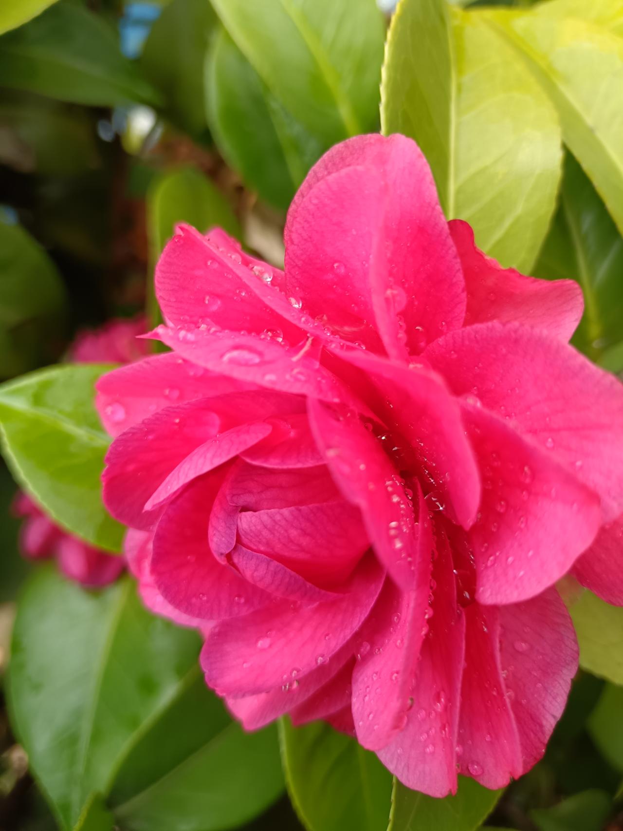 随着新时代的发展，学习AI，思考和探索实践，适应未来的客观要求。