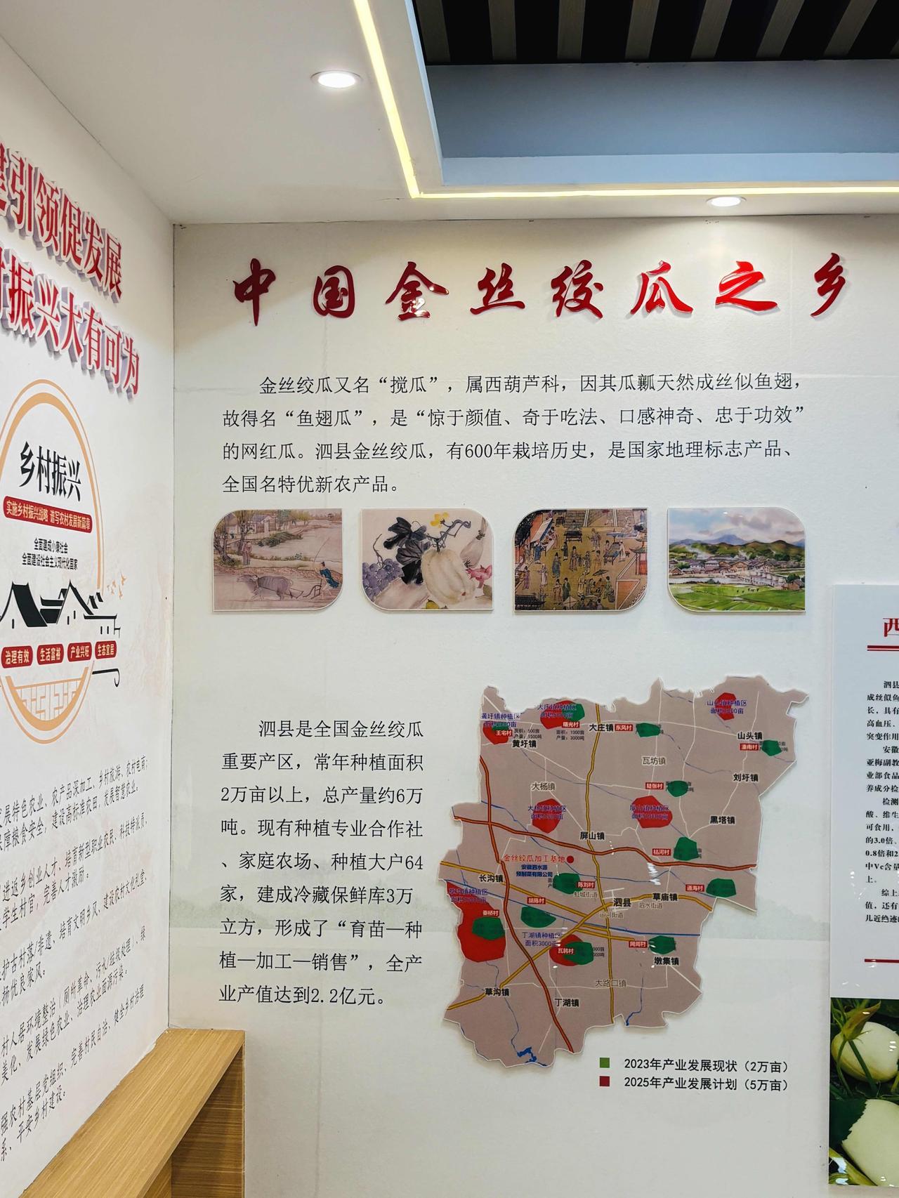 泗县金丝绞瓜，手揉出金丝，脆甜尝地道皖北味。

📍来安徽宿州泗县，一定要赴一场