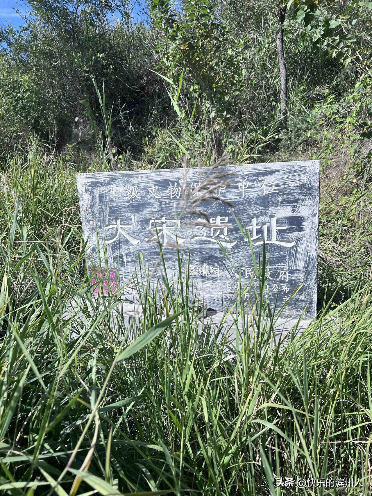 位于山东滨州阳信县水落坡镇的大宋遗址是一处高出周围田地的土台，属于古村落居住台地