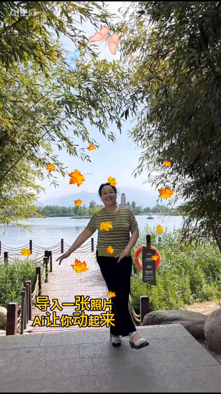 导入一张照片，Ai让你动起来。