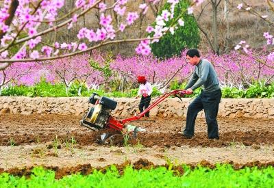 视频文案：从田间到花海 科技春耕与春日经济共绘希望田野

【开篇：春耕序曲】
