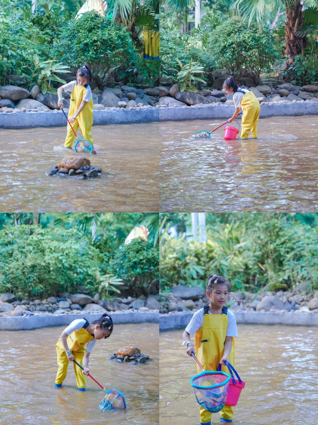 厦门溜娃新去处🦌鹿岛松鼠公园🐿