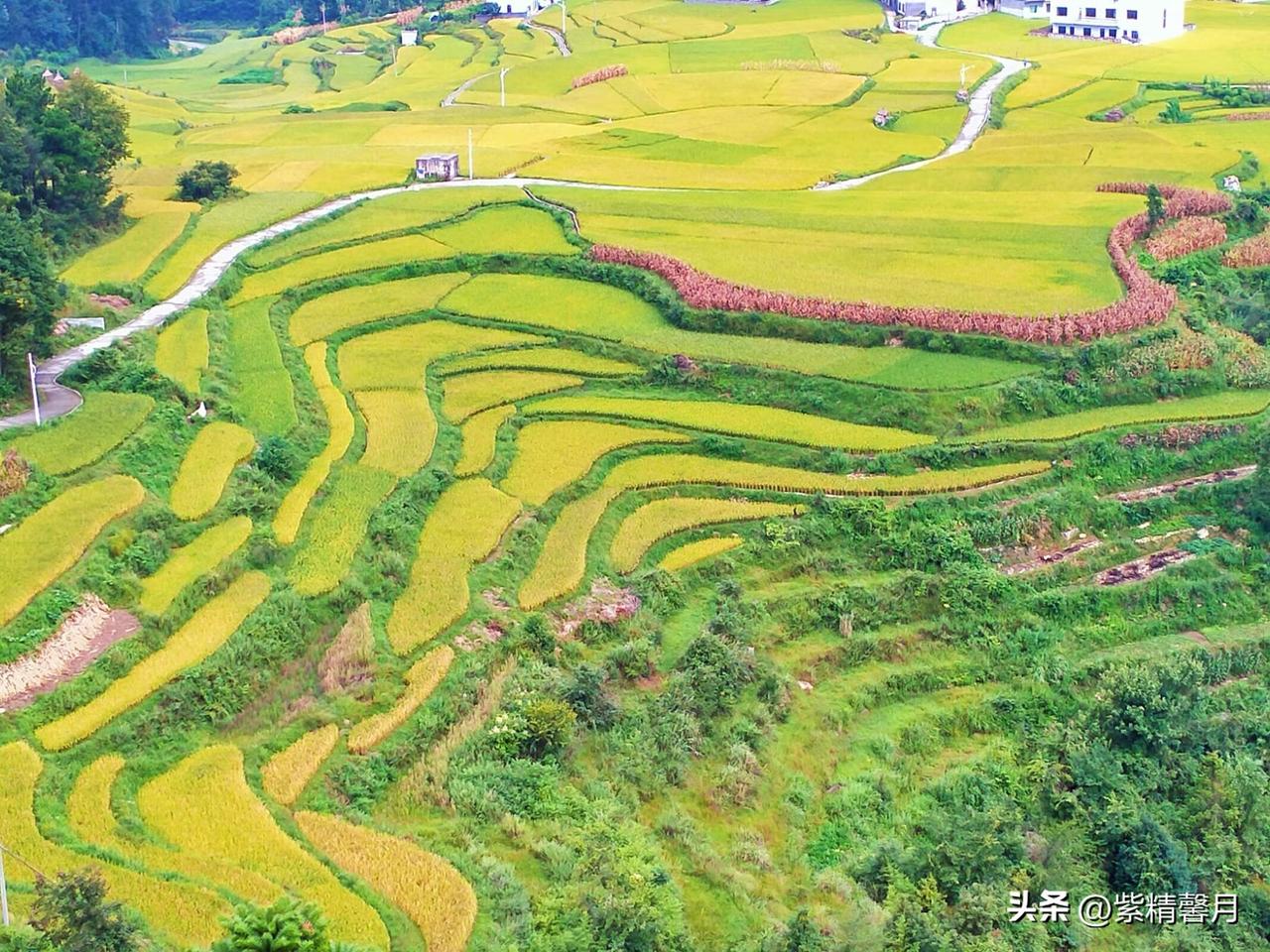 什么样的风景是最美带着好心情随拍不一样风景最美