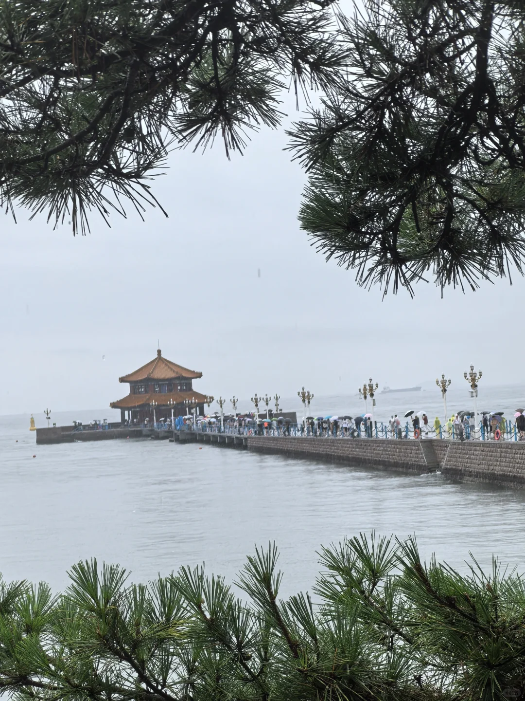 8.20青岛街头实况 大雨也很凉快