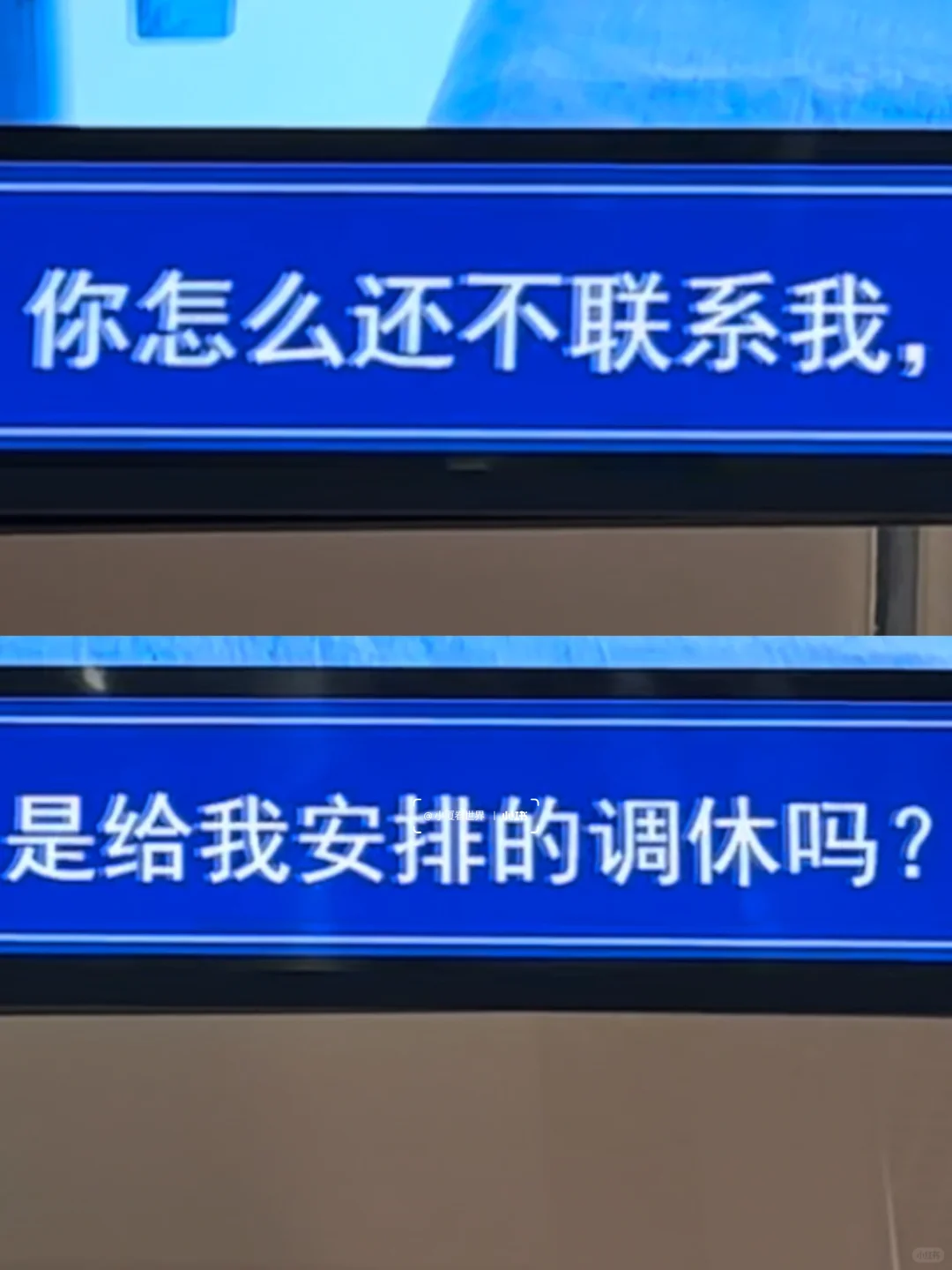 厦门树洞好癫好好笑啊哈哈哈哈哈