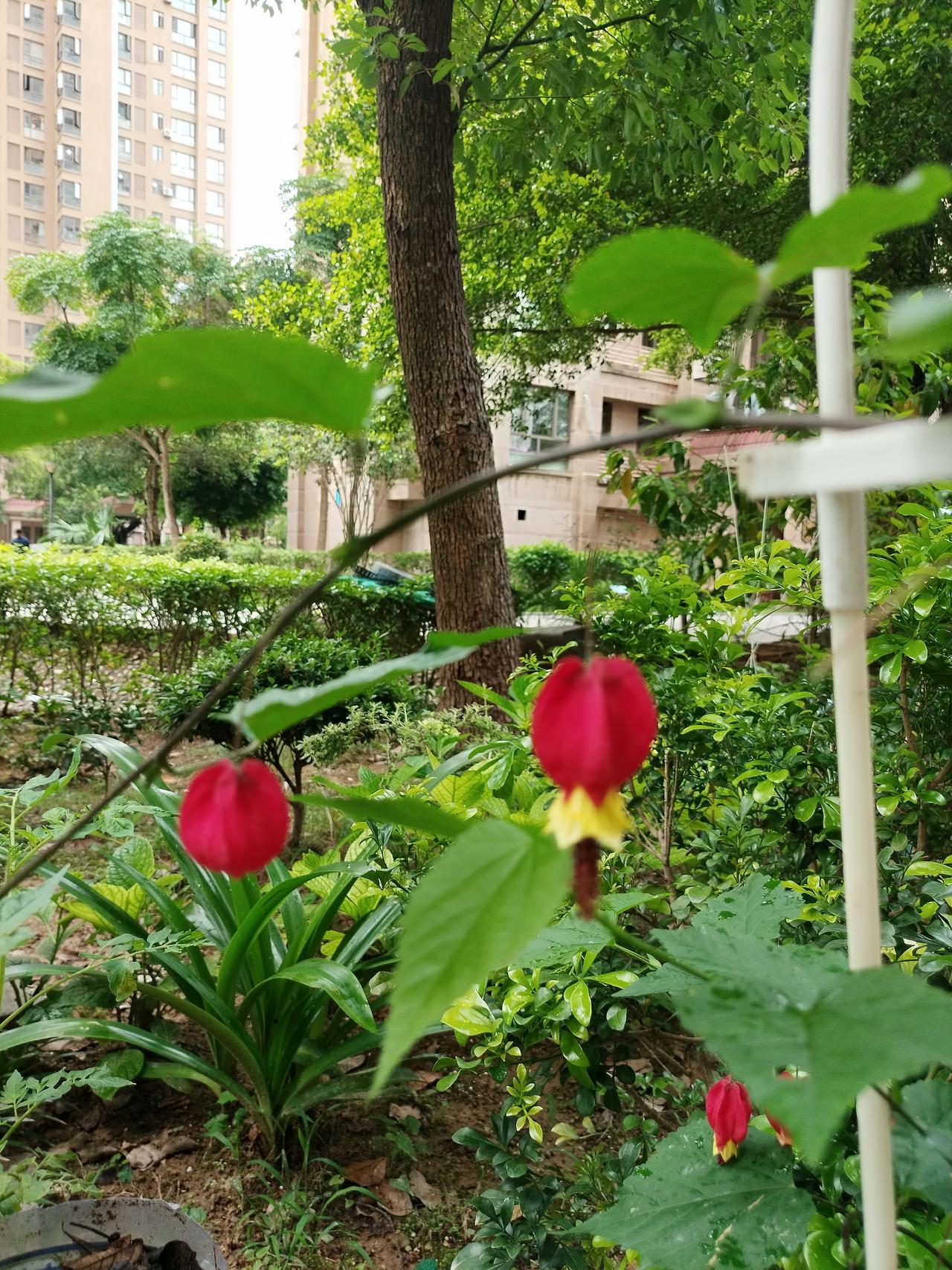 什么才是真正的修行？心平气和，内心宁静，不争不抢，看一切都觉得顺眼。看待这个世界