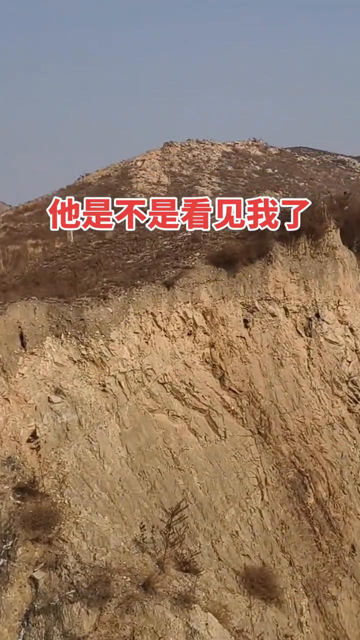 他是不是看见我了？