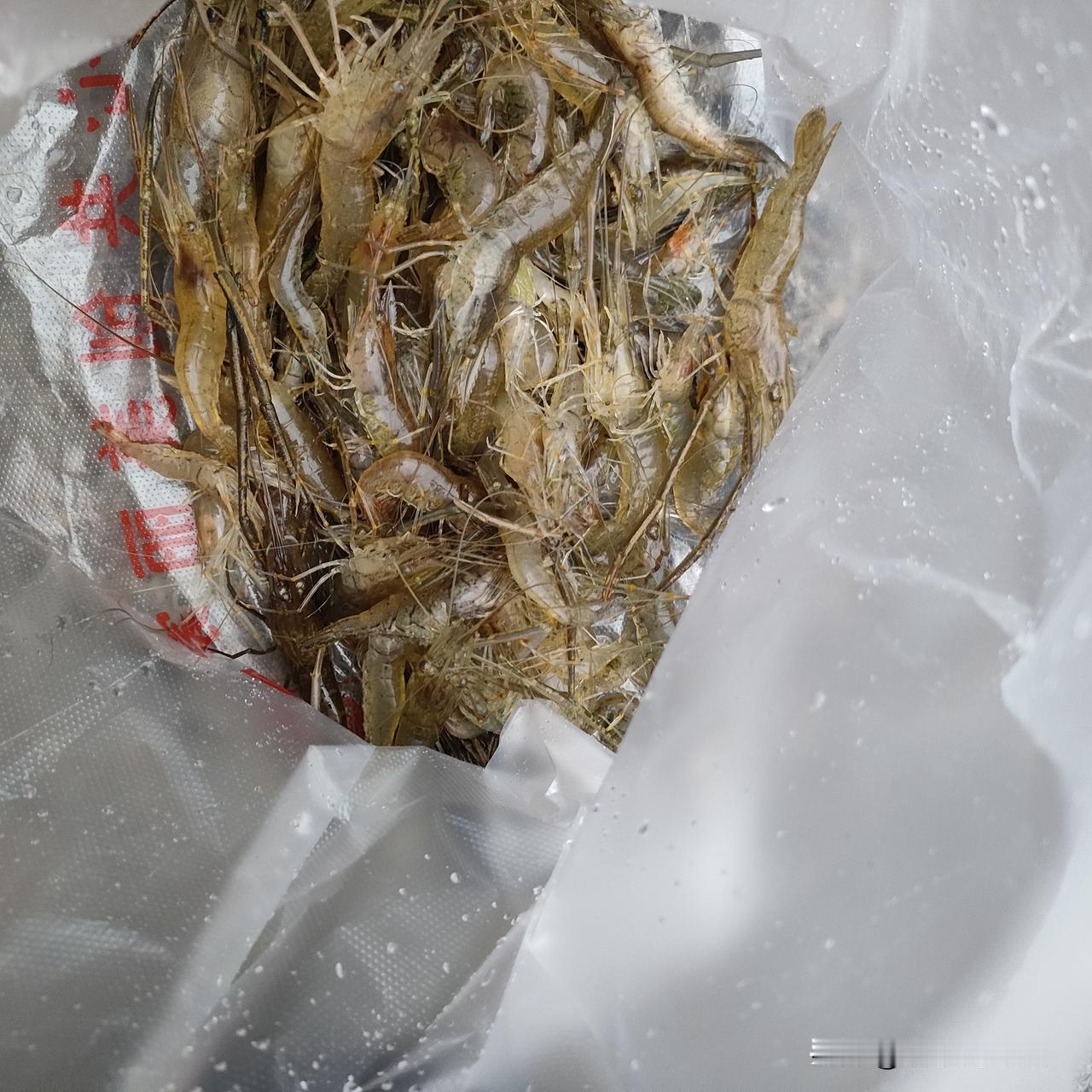 我这个人绝对是有圣母病的！
    今天早上送孩子去学校，看到一个中年男人卖河虾