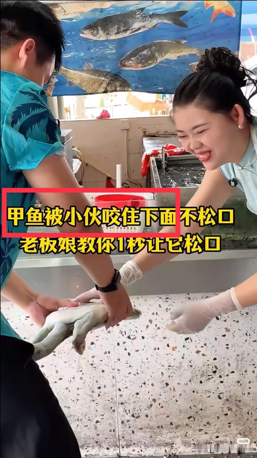 像这种情况下，出刀要快准狠，以迅雷不及掩耳之势，斩断龟的脖子，记住，不是头，头的