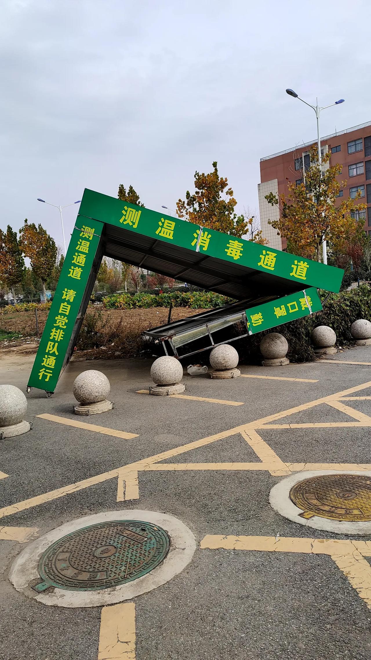 昨天晚上南阳的大风好像就没停过，只听见窗外呼呼地响，像是有什么东西被吹到了楼顶的