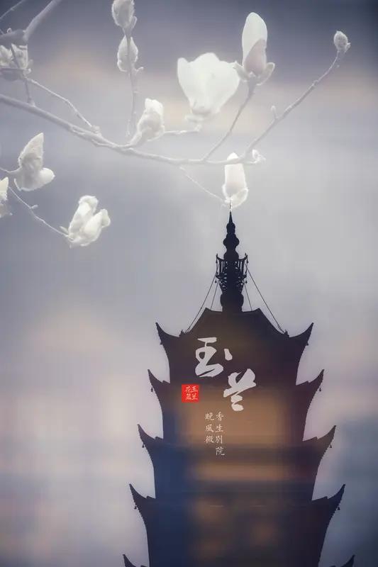 影视行业喊“寒冬”，但《逐玉》爆火又让人看到希望，其实这并不矛盾。当下票房下滑、